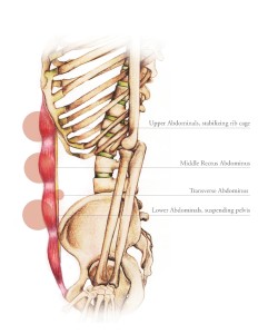 Neutral Spine Alignment 2